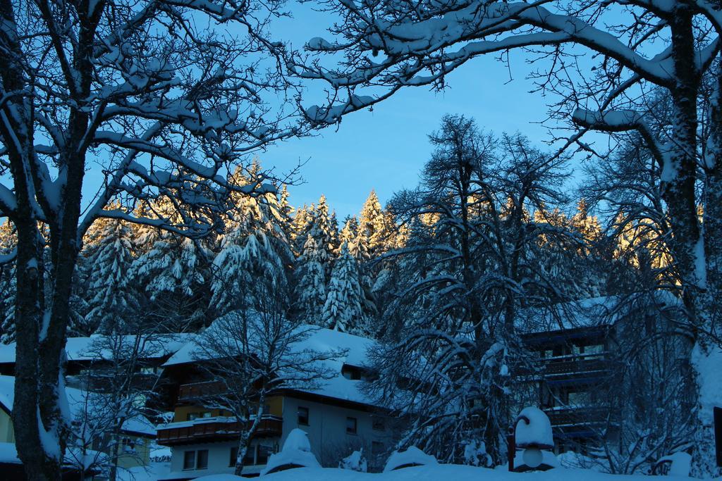 Gasthof Schwarzwaldtanne Hotel Schönwalde Eksteriør billede