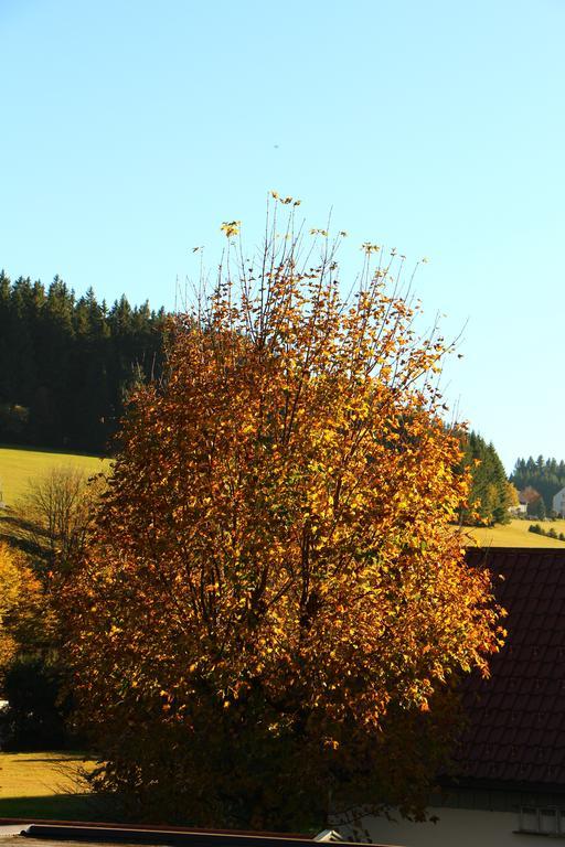 Gasthof Schwarzwaldtanne Schönwalde Eksteriør billede