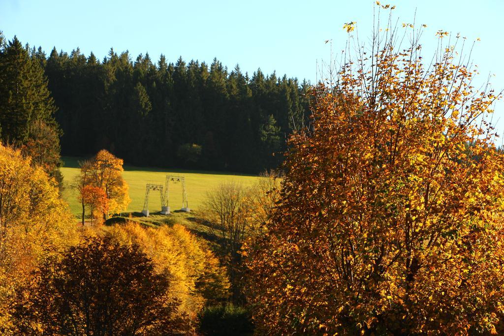 Gasthof Schwarzwaldtanne Hotel Schönwalde Eksteriør billede