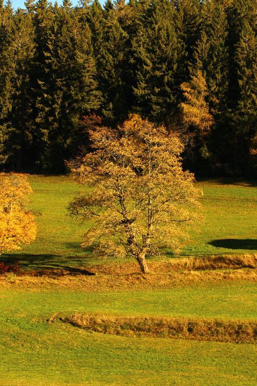 Gasthof Schwarzwaldtanne Schönwalde Eksteriør billede